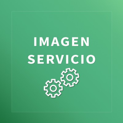 Servicio 5 Servicio 5